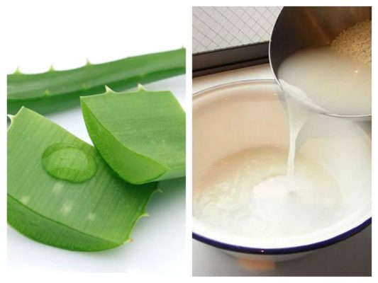 Nước vo gạo + nha đam Nước vo gạo + nha đam