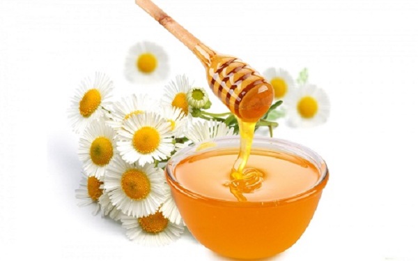 Trà hoa cúc + mật ong Trà hoa cúc + mật ong