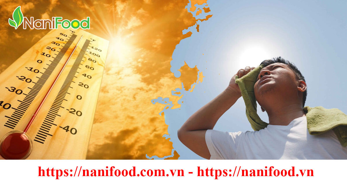 Những bệnh thường gặp vào mùa hè mọi người cần lưu ý Những bệnh thường gặp vào mùa hè mọi người cần lưu ý