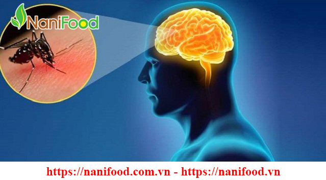 Vấn đề sức khỏe trẻ thường gặp phải mùa vào hè