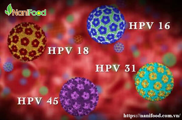 Virus HPV nam giới có bị nhiễm hay không?